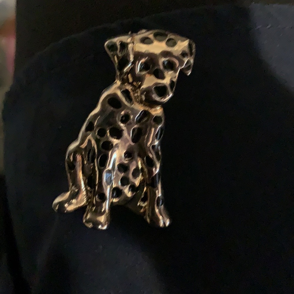 Dalmatian booch